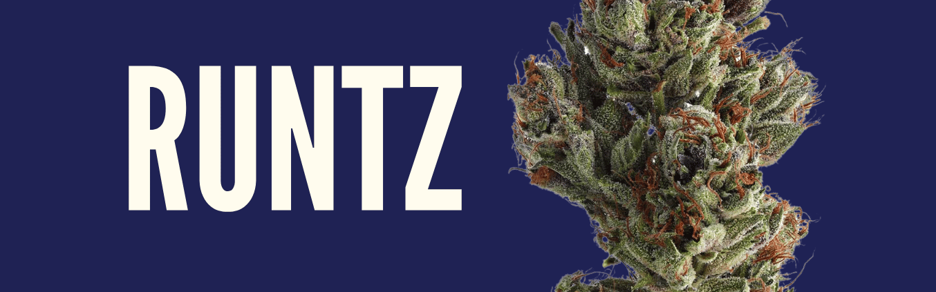 A navy blue background with a nug shot of the runtz strain from Highway Cannabis Dispensary in marina Del Rey. The word 